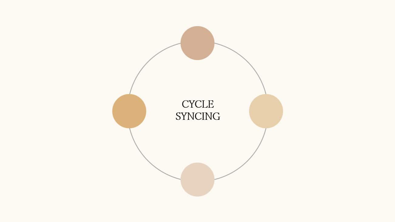 CYCLE-SYNCING GUIDE -- A Cheatsheet To Understanding + Supporting