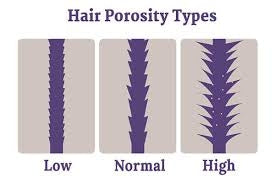 The Complete Guide to Understanding Hair Porosity