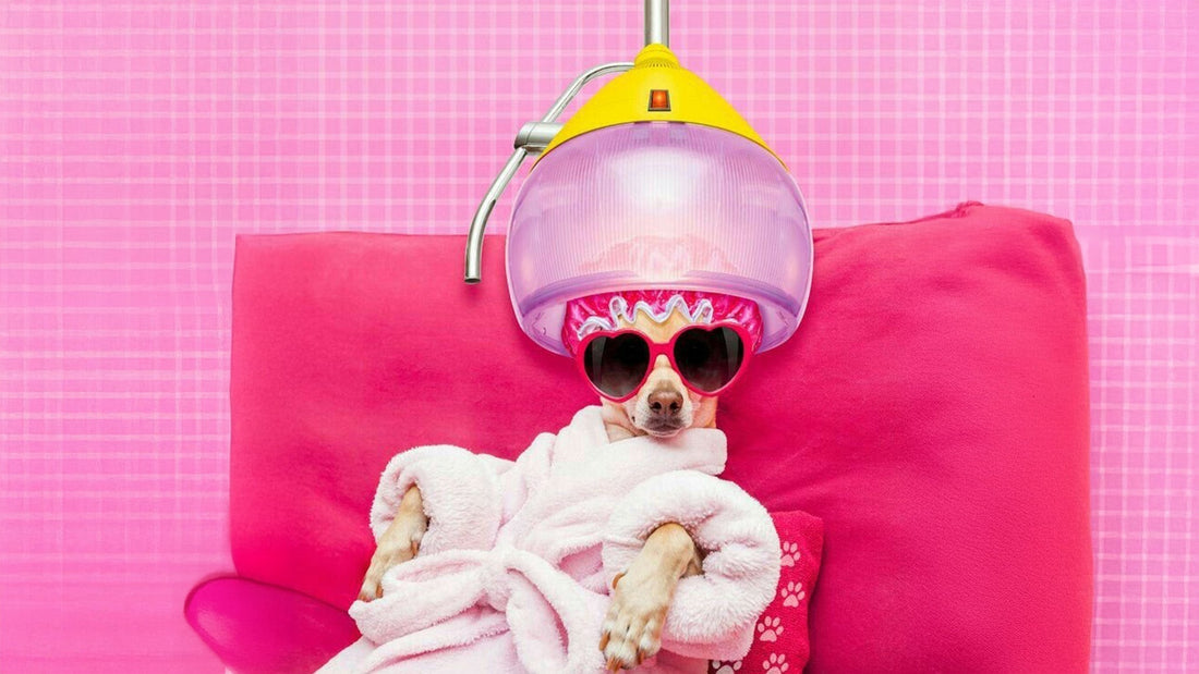 Should I Avoid Certain Hairstyles or Treatments to Prevent Hair Fall?