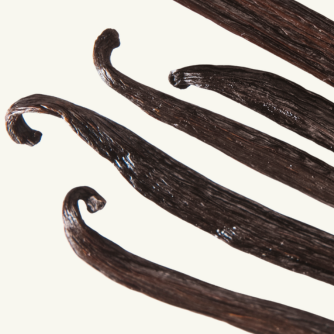 Vanilla Bean