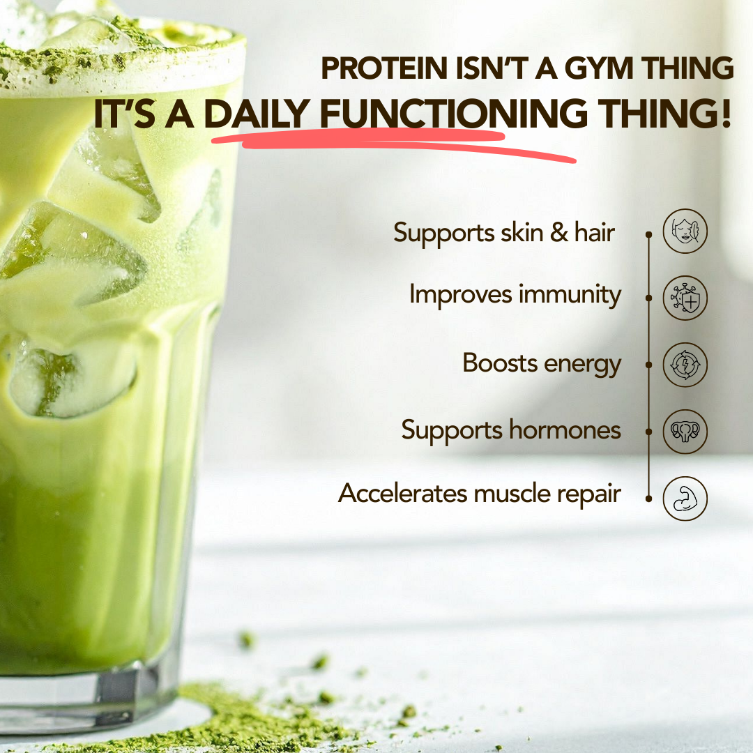 Daily Scoop Plant Protein Matcha