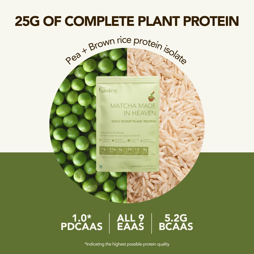 Daily Scoop Plant Protein Matcha