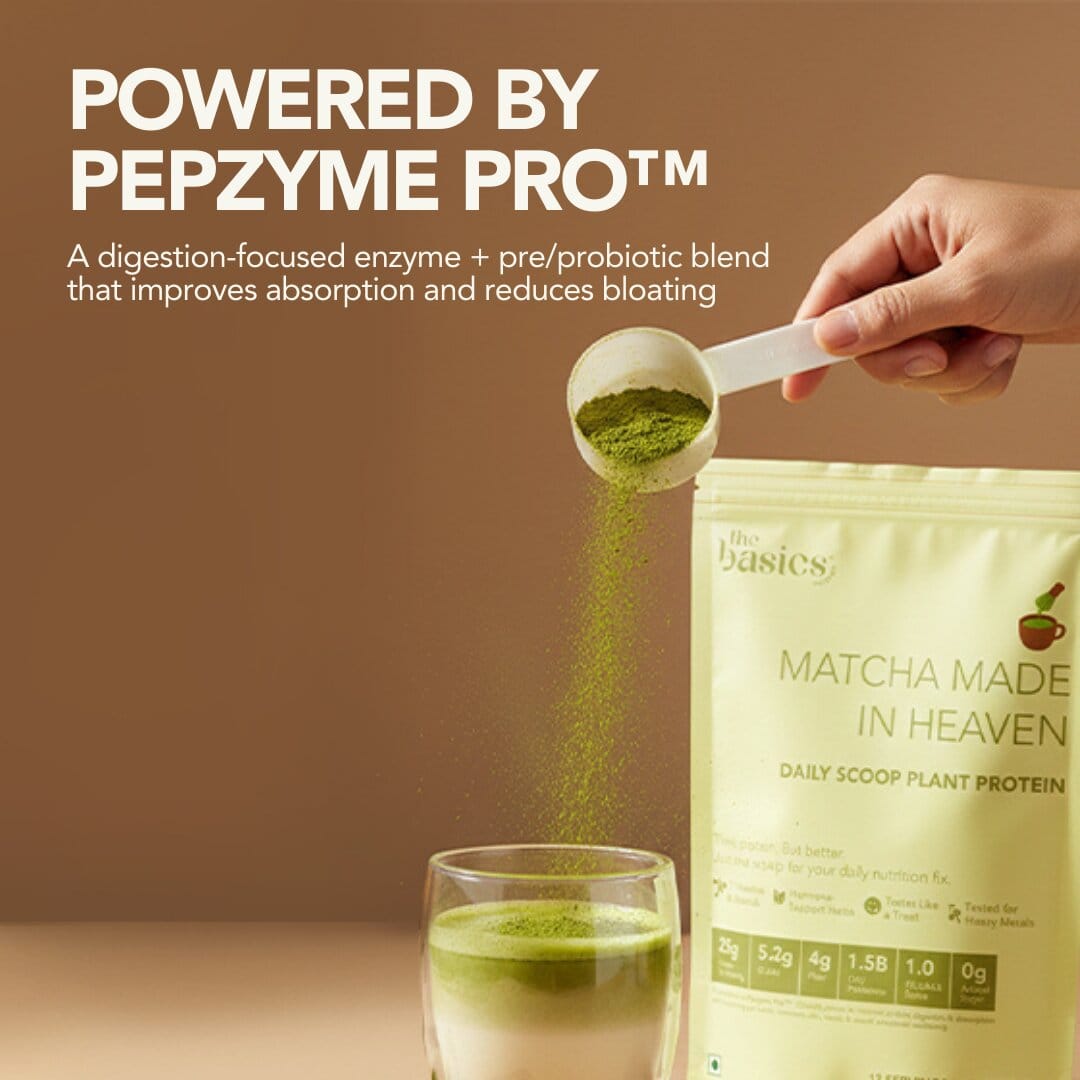 Daily Scoop Plant Protein Matcha