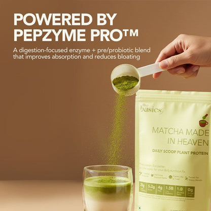 Daily Scoop Plant Protein Matcha