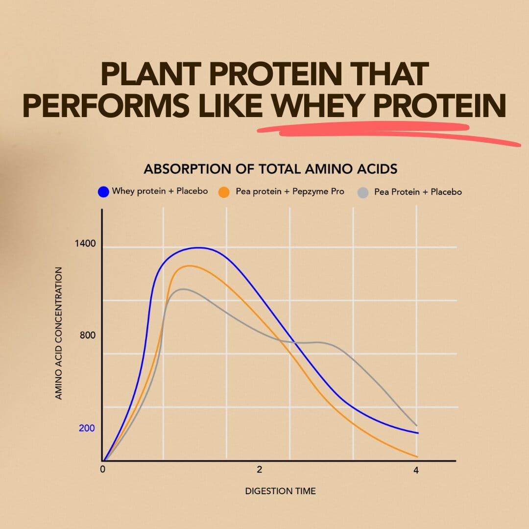 Daily Scoop Plant Protein Coffee