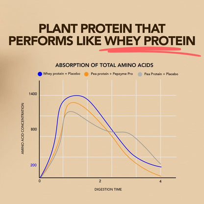 Daily Scoop Plant Protein Chocolate