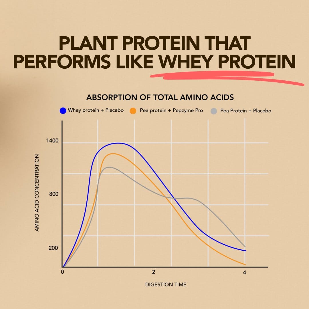 Daily Scoop Plant Protein Matcha