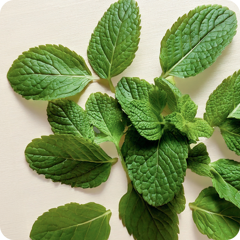 Peppermint